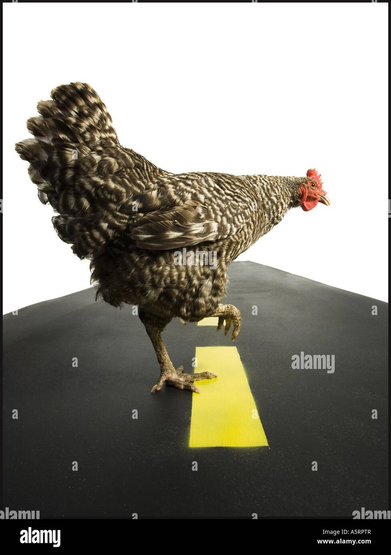 Chicken road online, chicken road oficial