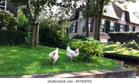 Best chicken road gokkast in Netherlands