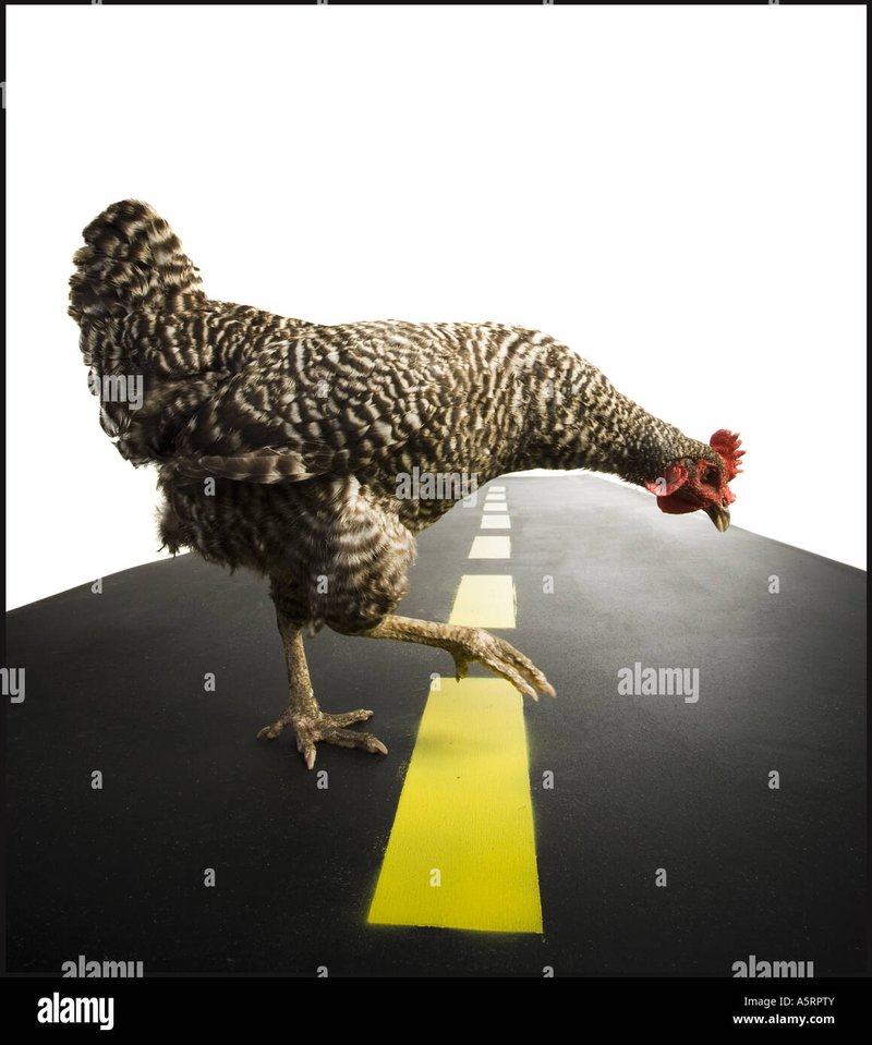 Chicken road slot - Descoperă Secretele Victoriei pe Chicken Road în Casino Online din România